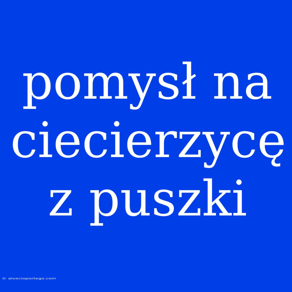 Pomysł Na Ciecierzycę Z Puszki