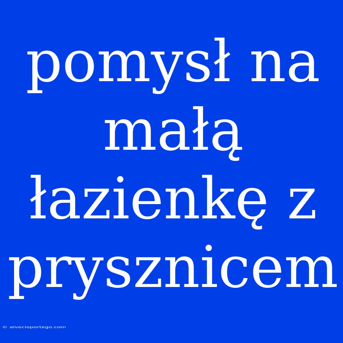 Pomysł Na Małą Łazienkę Z Prysznicem