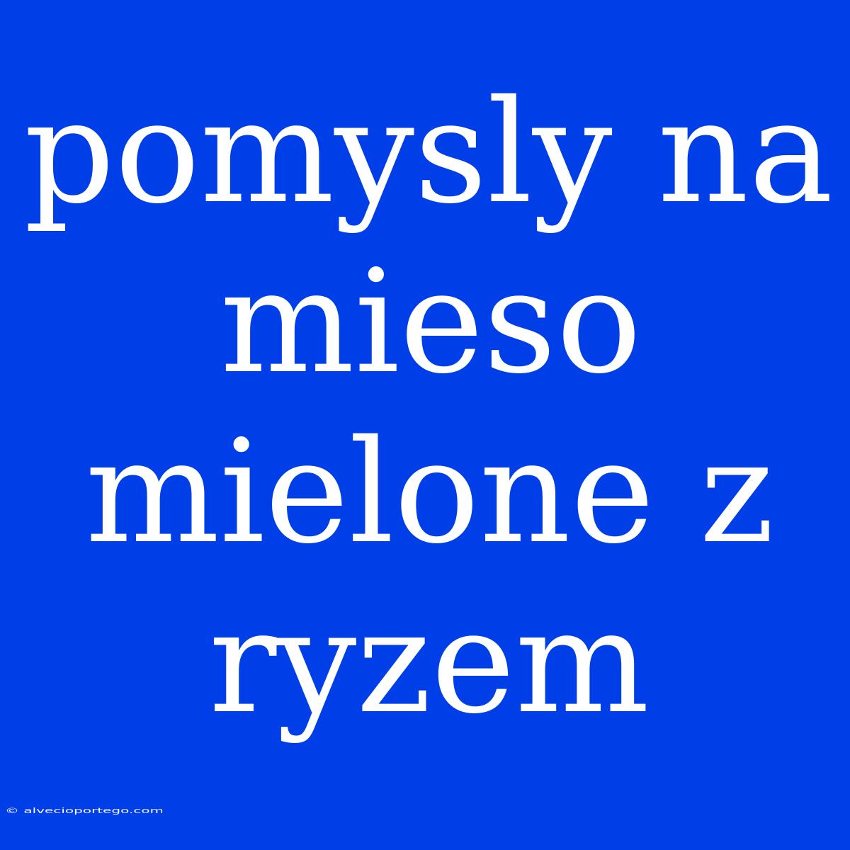 Pomysly Na Mieso Mielone Z Ryzem