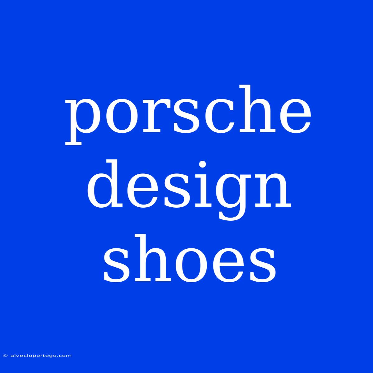 Porsche Design Shoes