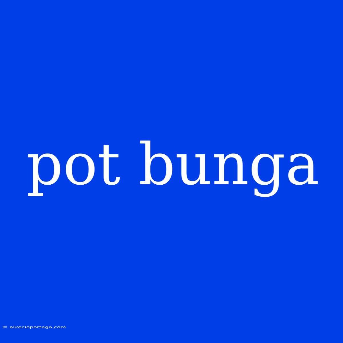 Pot Bunga