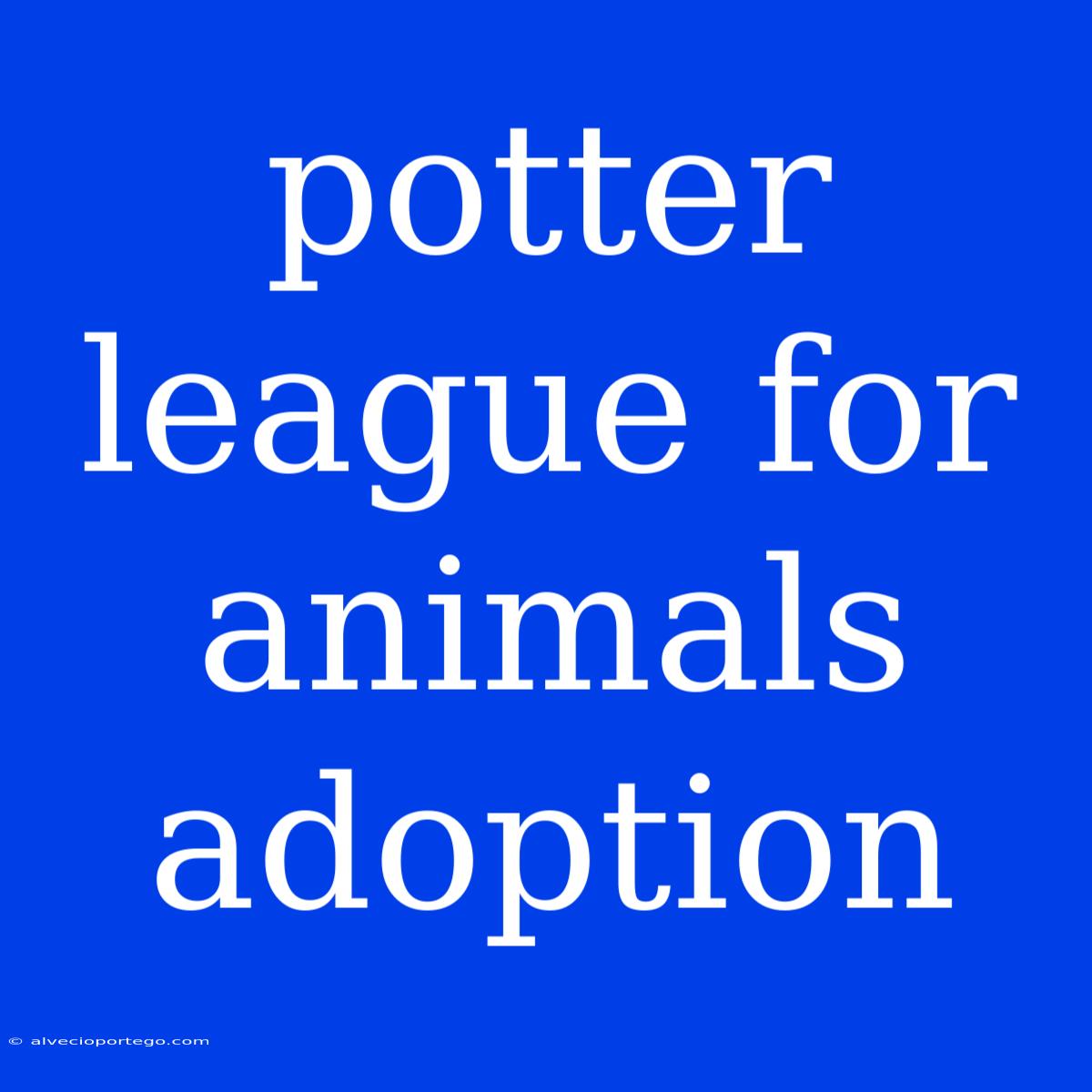 Potter League For Animals Adoption