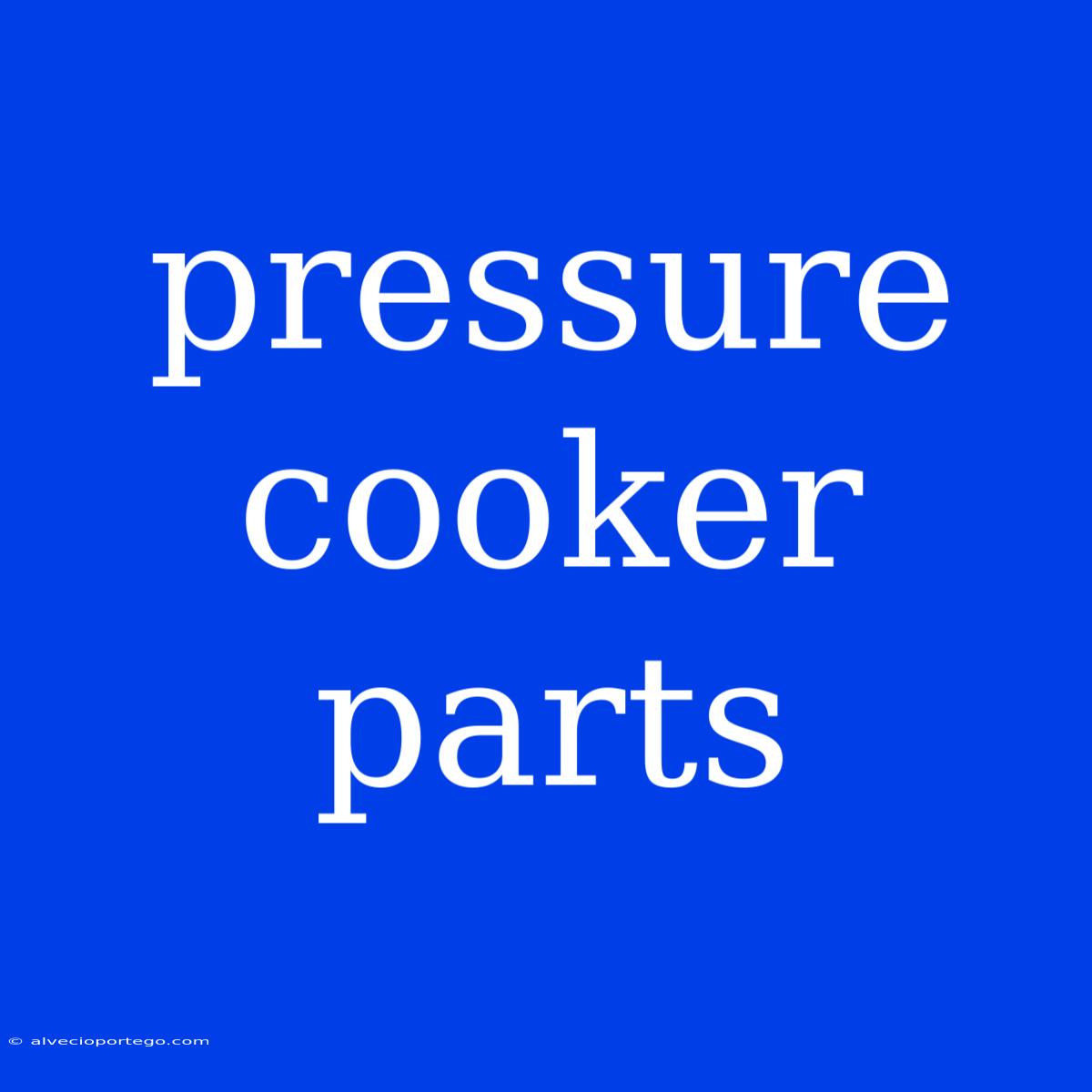 Pressure Cooker Parts