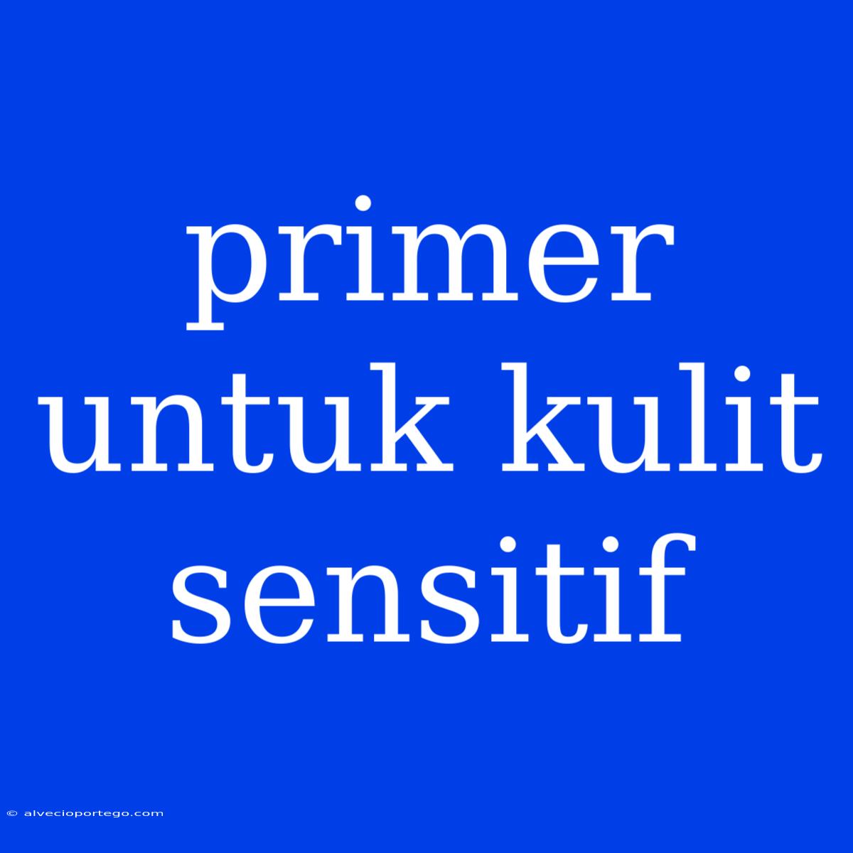 Primer Untuk Kulit Sensitif