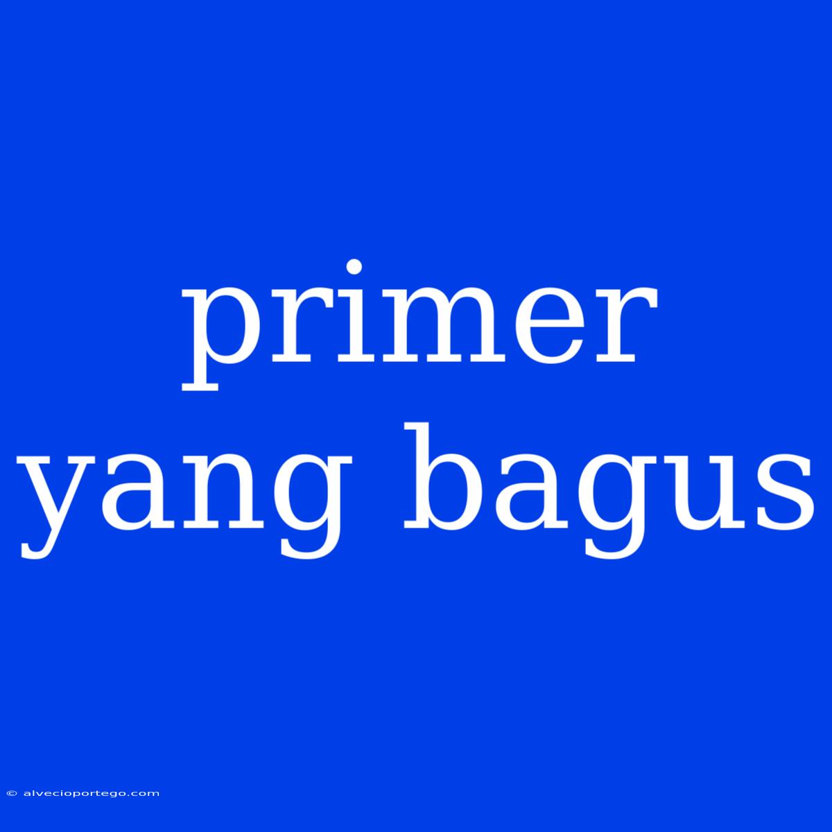 Primer Yang Bagus