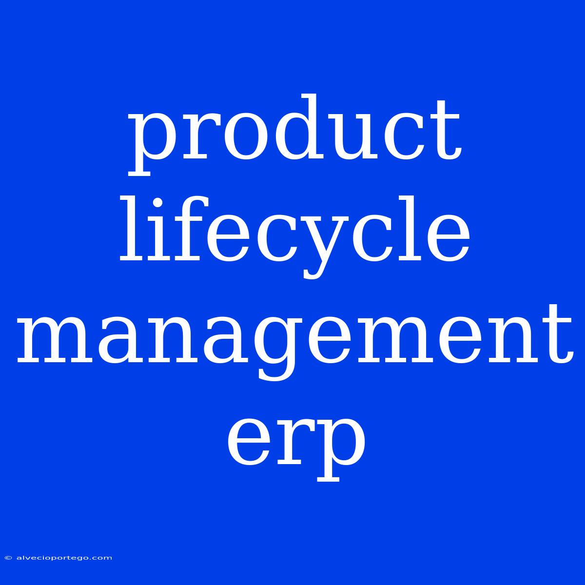 Product Lifecycle Management Erp