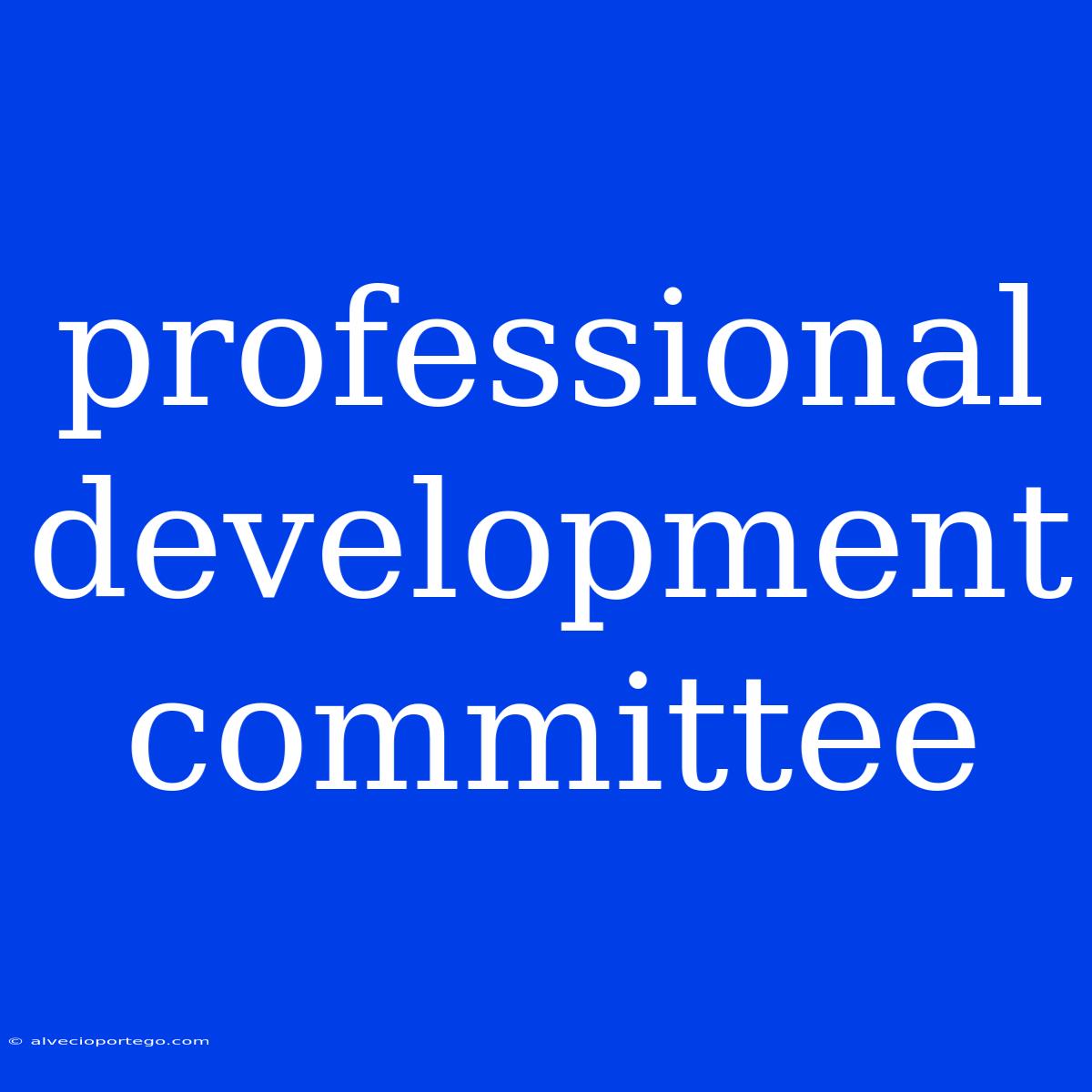 Professional Development Committee