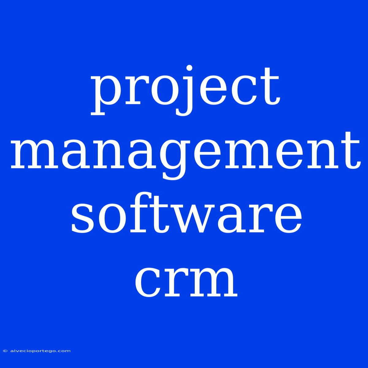 Project Management Software Crm