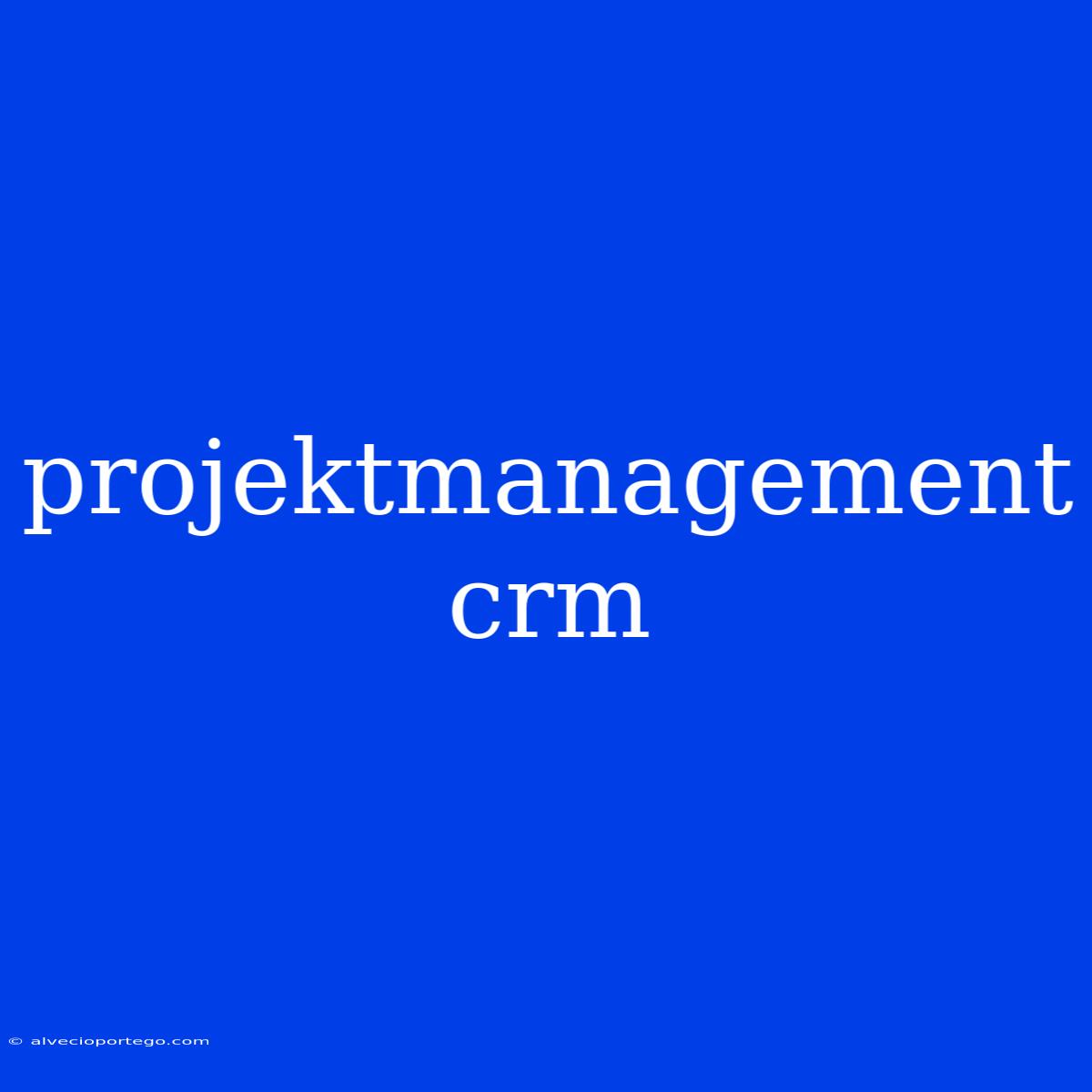 Projektmanagement Crm