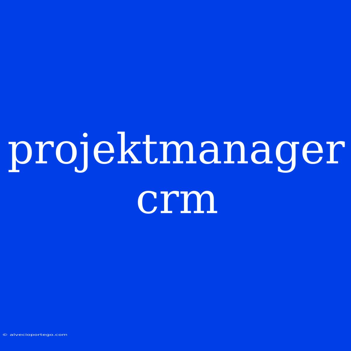 Projektmanager Crm