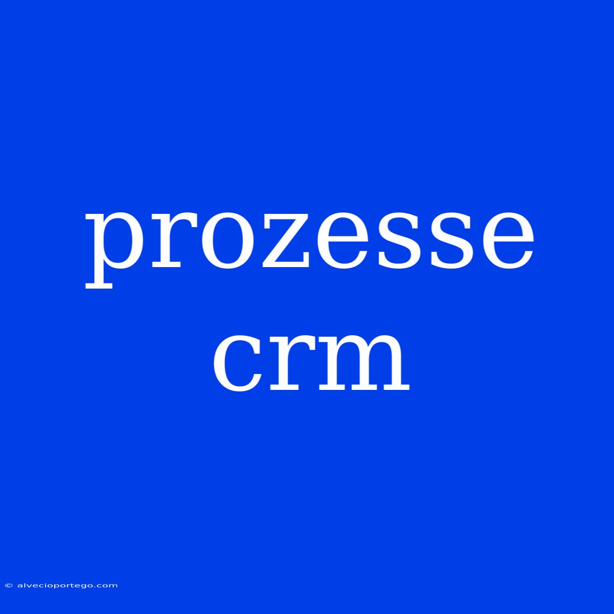 Prozesse Crm