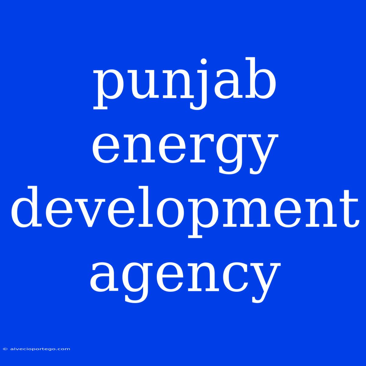 Punjab Energy Development Agency