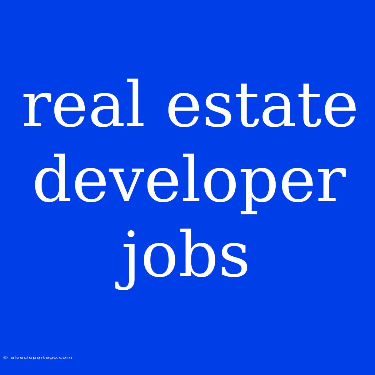 Real Estate Developer Jobs