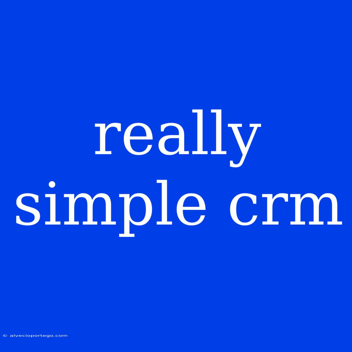 Really Simple Crm