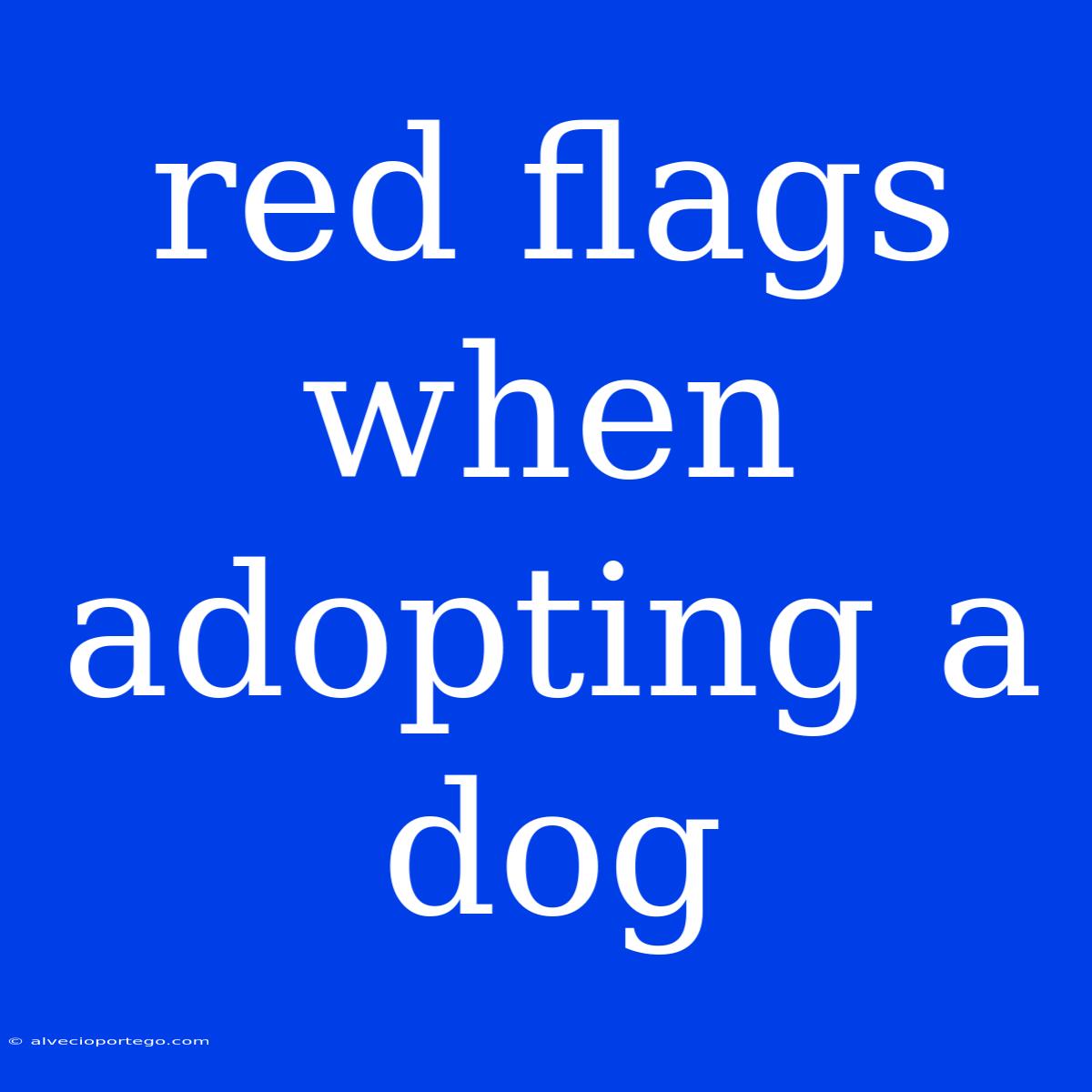 Red Flags When Adopting A Dog