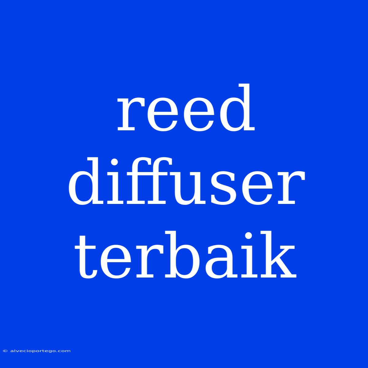 Reed Diffuser Terbaik