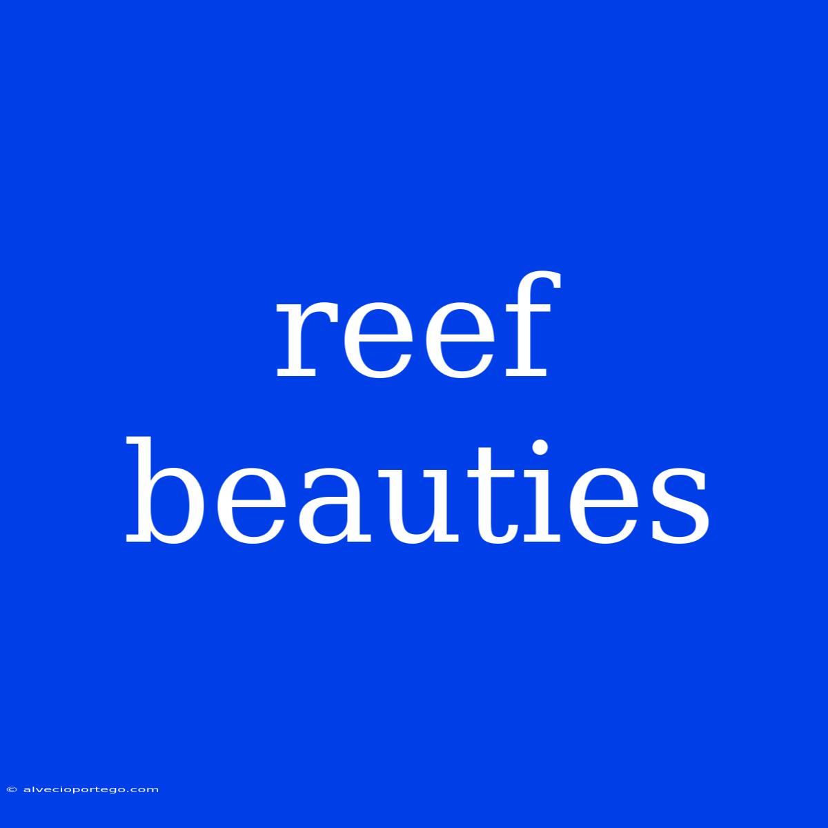 Reef Beauties