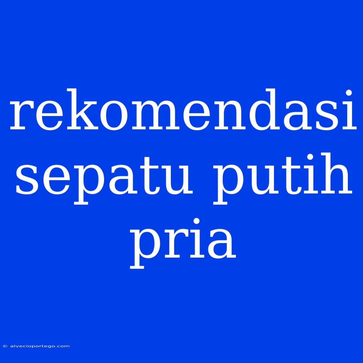 Rekomendasi Sepatu Putih Pria