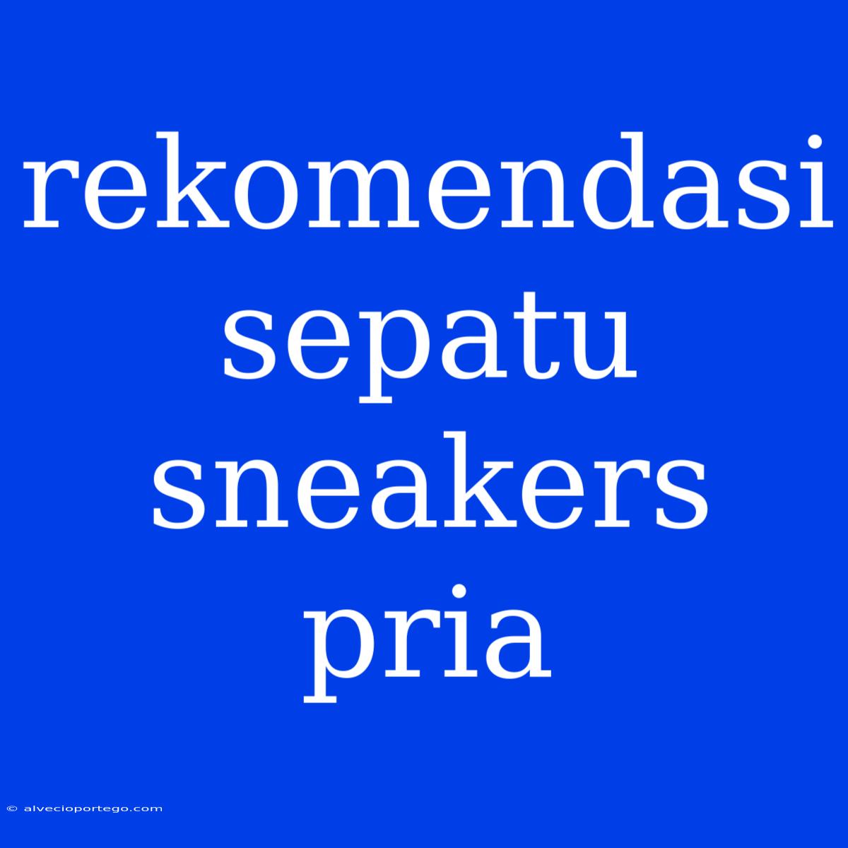 Rekomendasi Sepatu Sneakers Pria