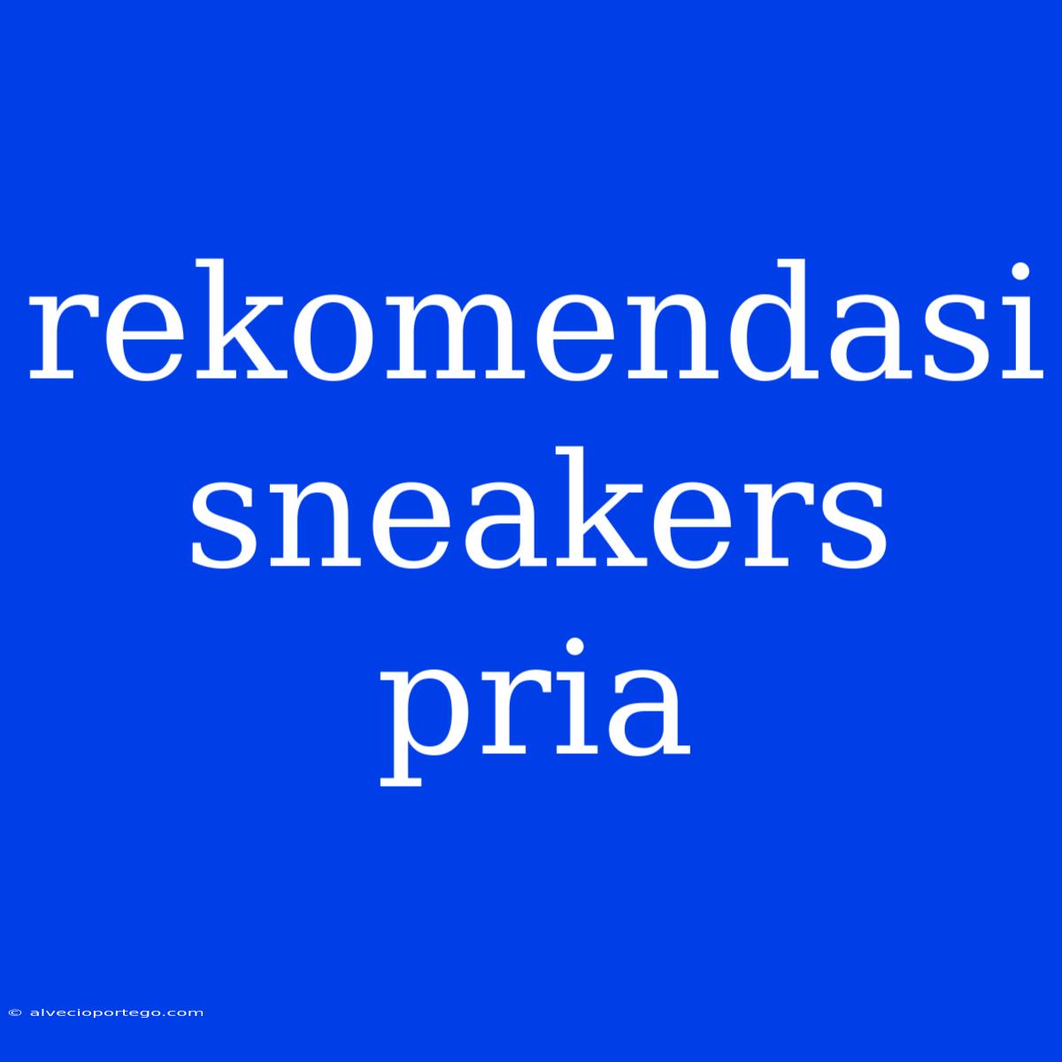 Rekomendasi Sneakers Pria