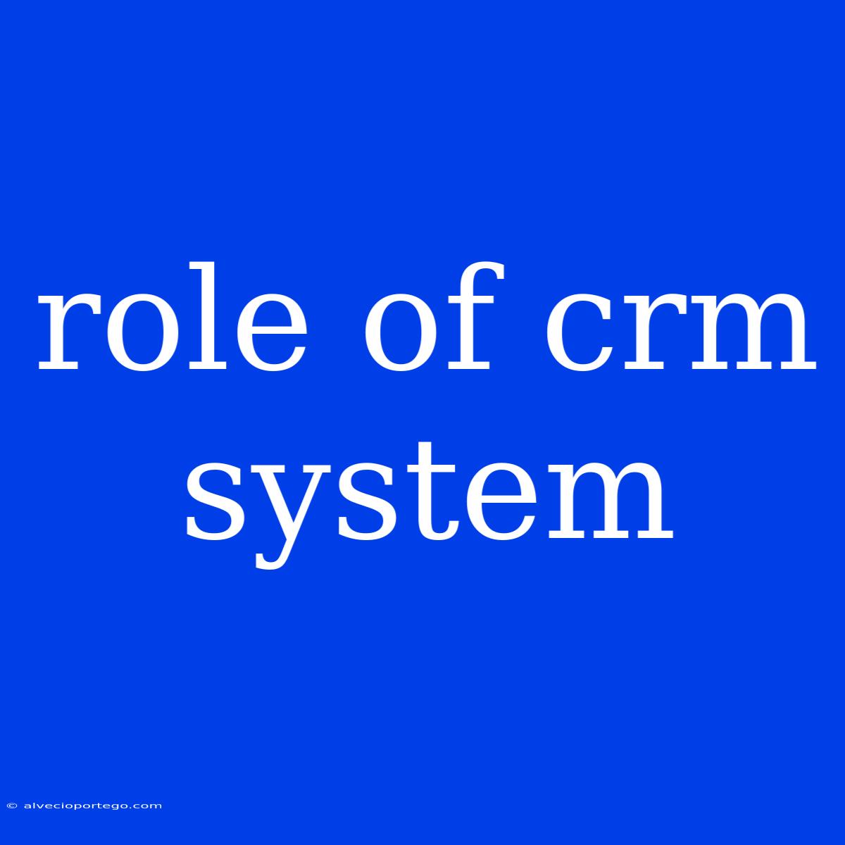 Role Of Crm System