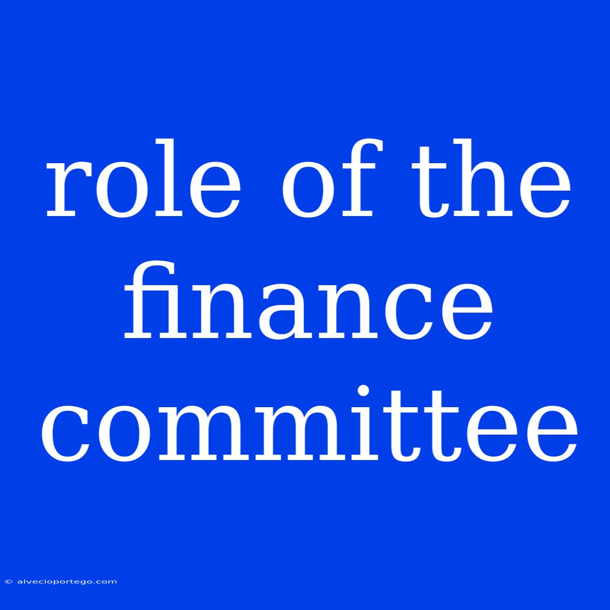 Role Of The Finance Committee