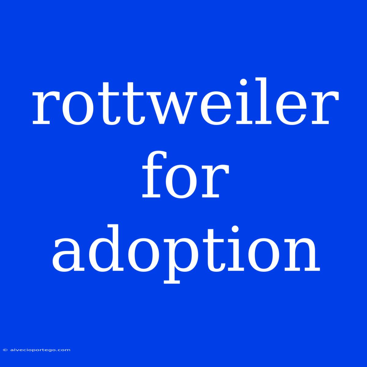 Rottweiler For Adoption