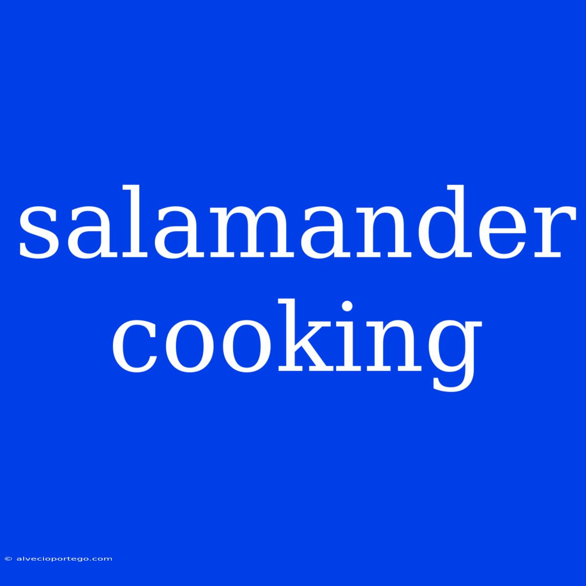 Salamander Cooking