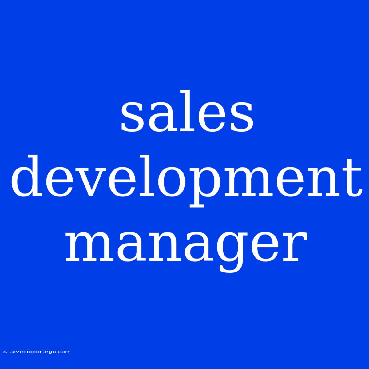 Sales Development Manager