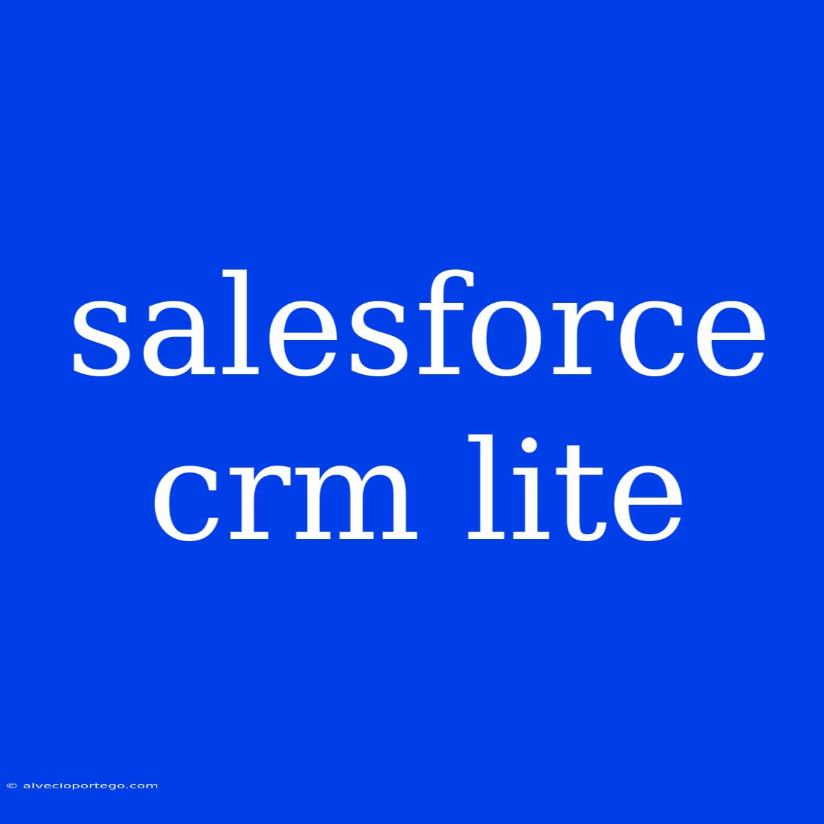 Salesforce Crm Lite