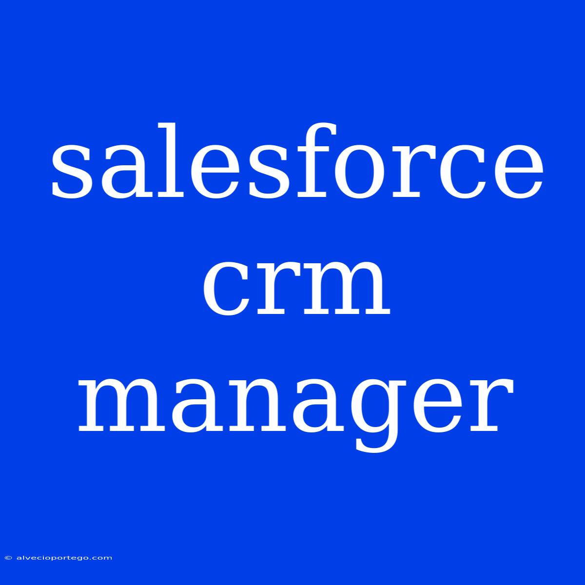 Salesforce Crm Manager