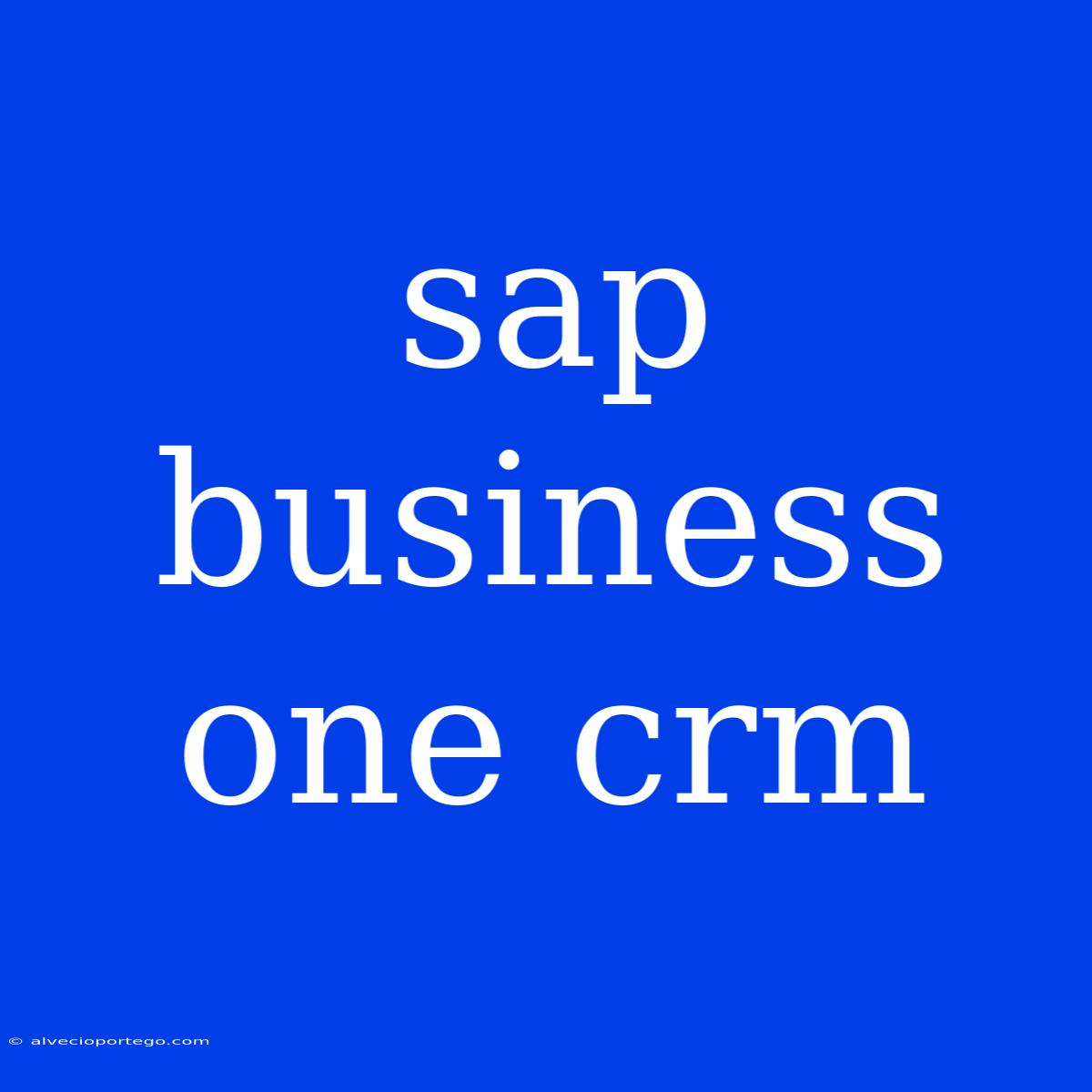 Sap Business One Crm