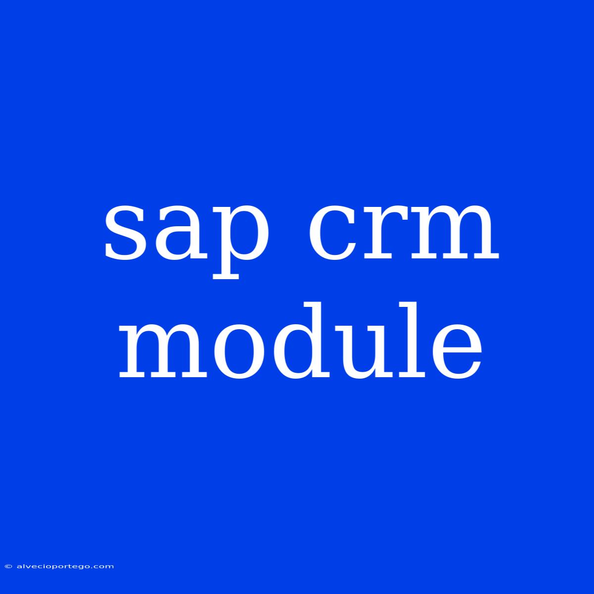 Sap Crm Module