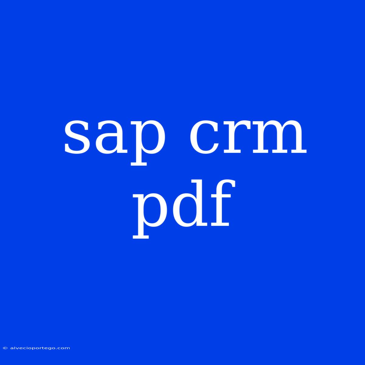 Sap Crm Pdf