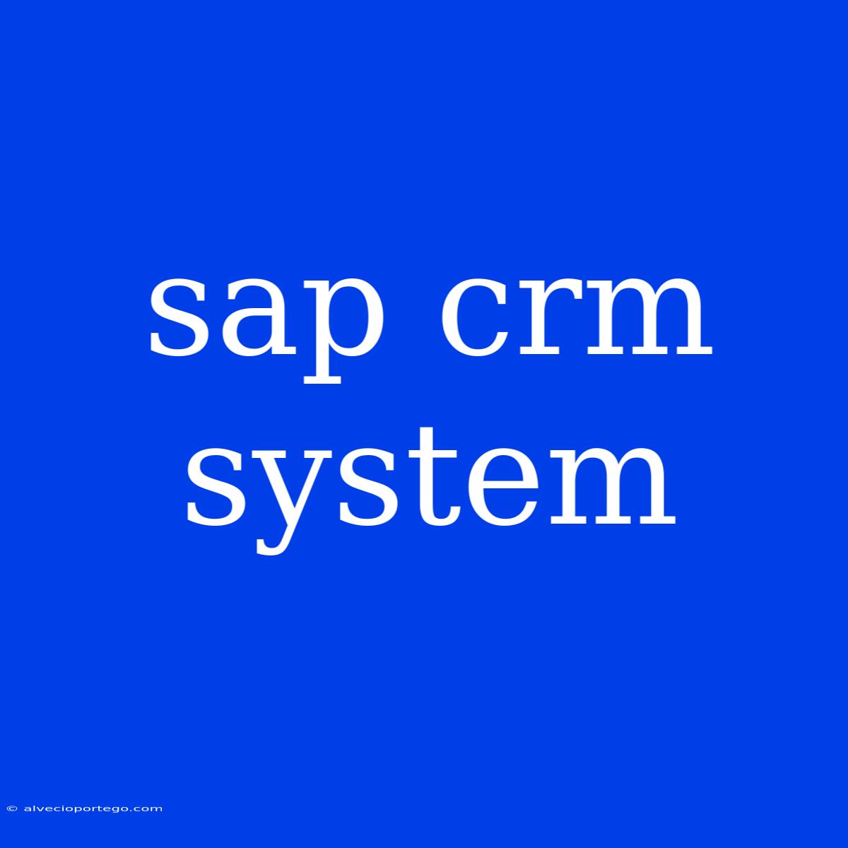 Sap Crm System