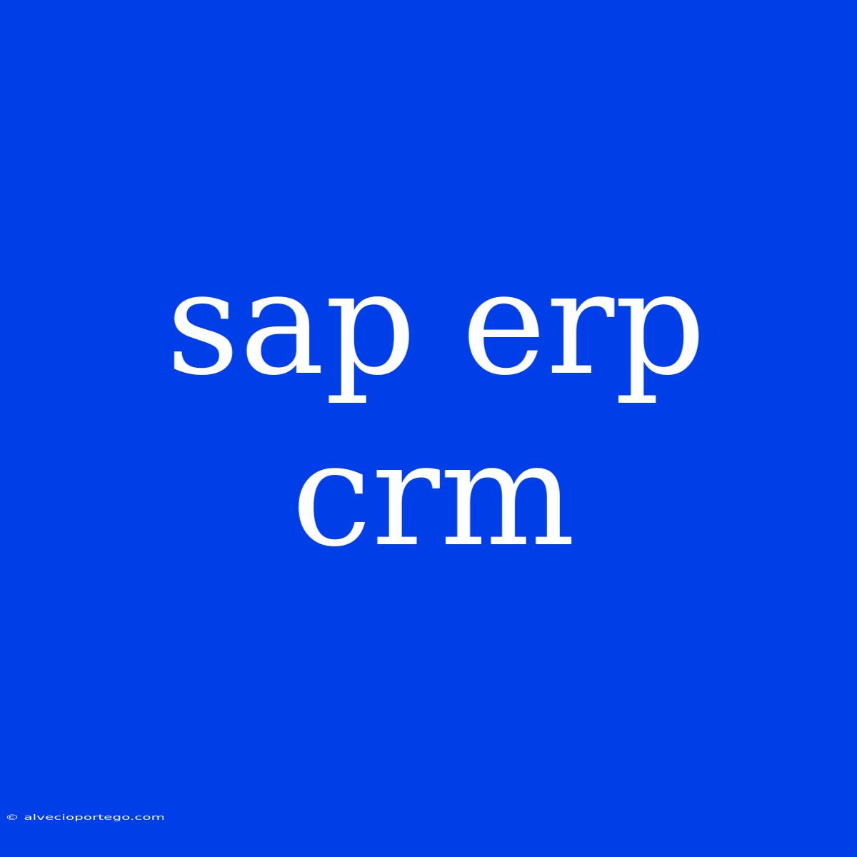 Sap Erp Crm