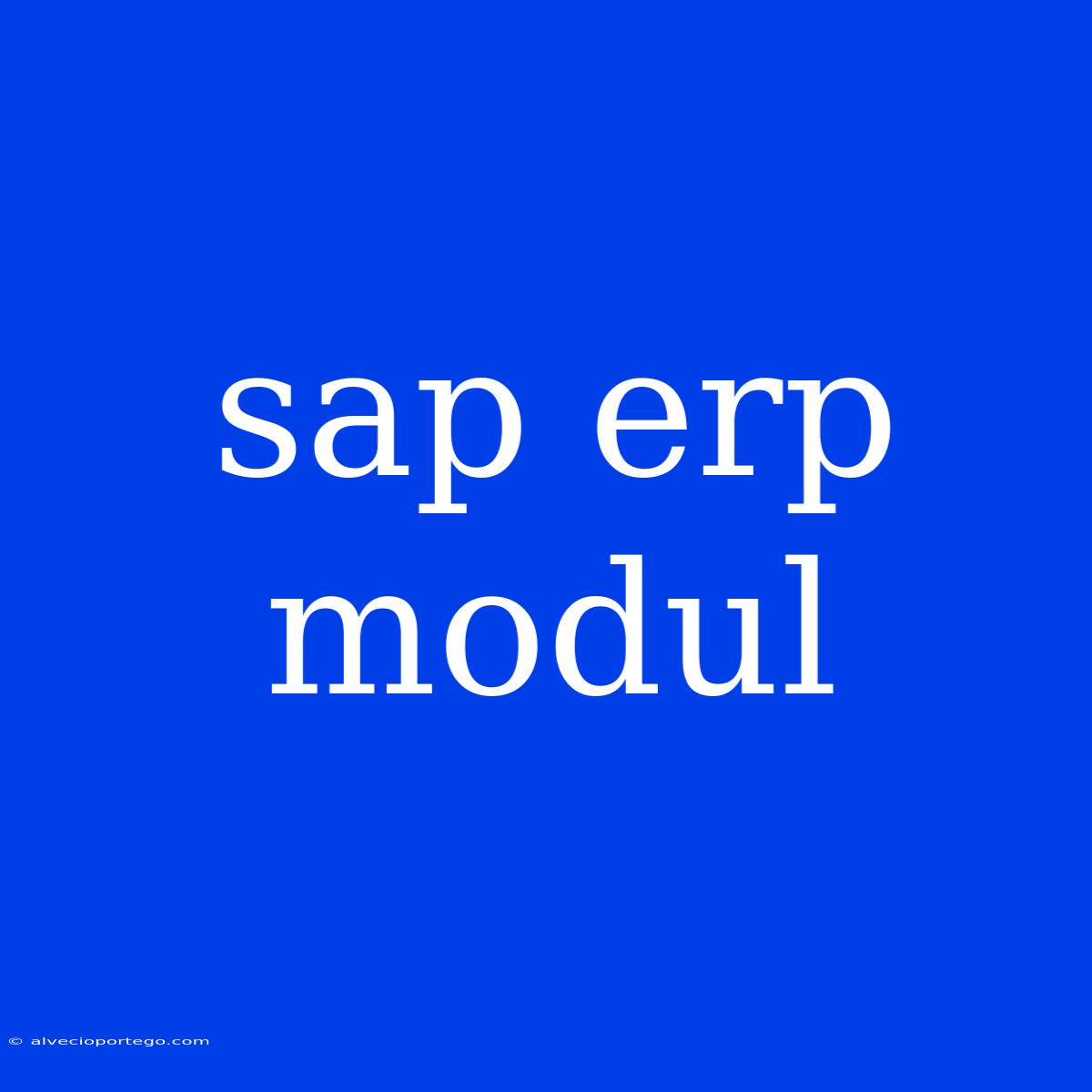 Sap Erp Modul