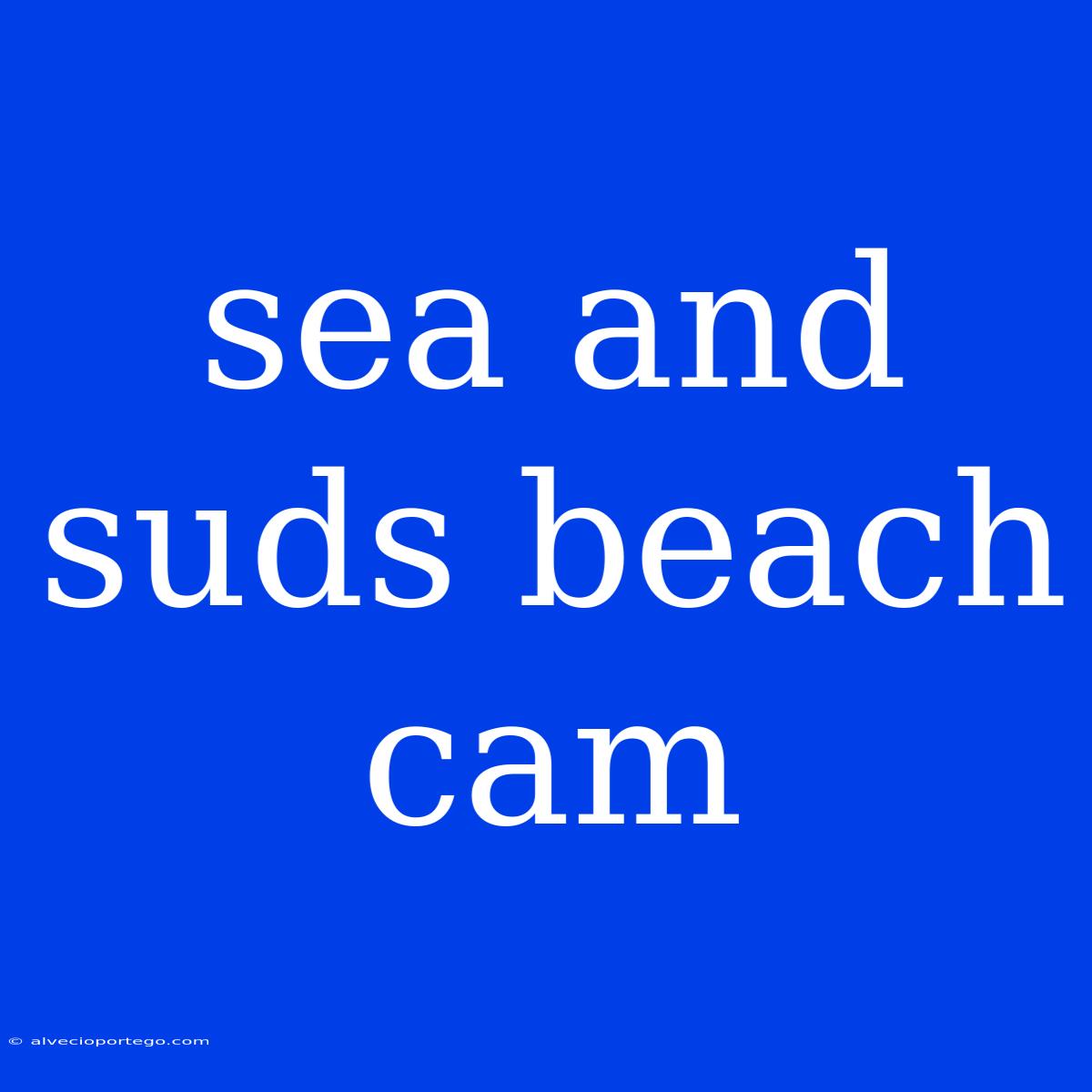 Sea And Suds Beach Cam