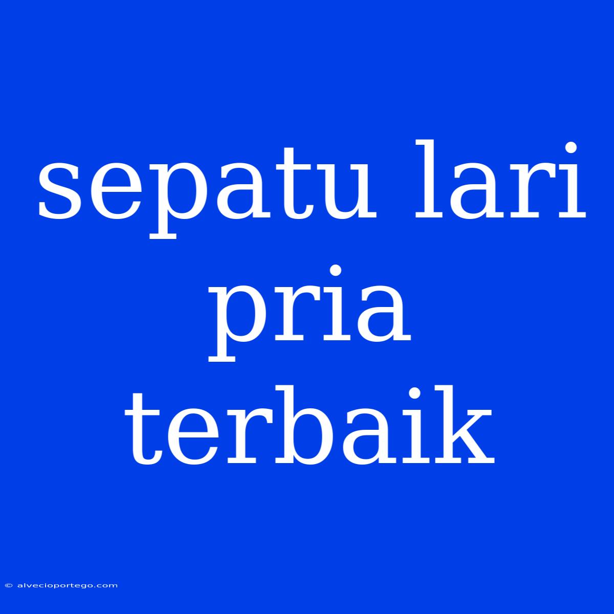 Sepatu Lari Pria Terbaik