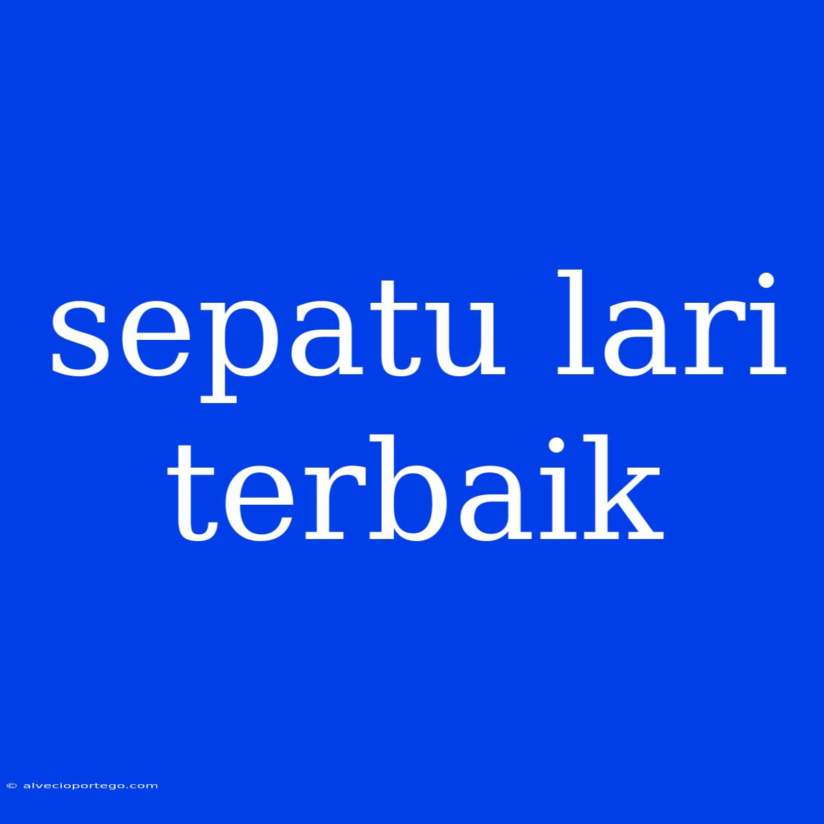 Sepatu Lari Terbaik