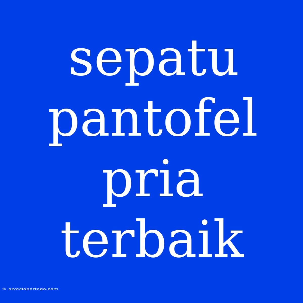 Sepatu Pantofel Pria Terbaik