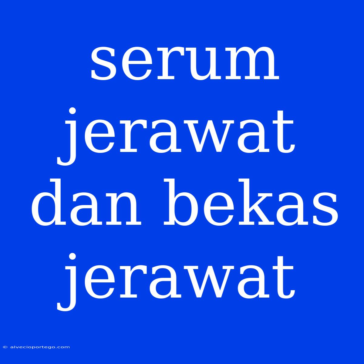 Serum Jerawat Dan Bekas Jerawat