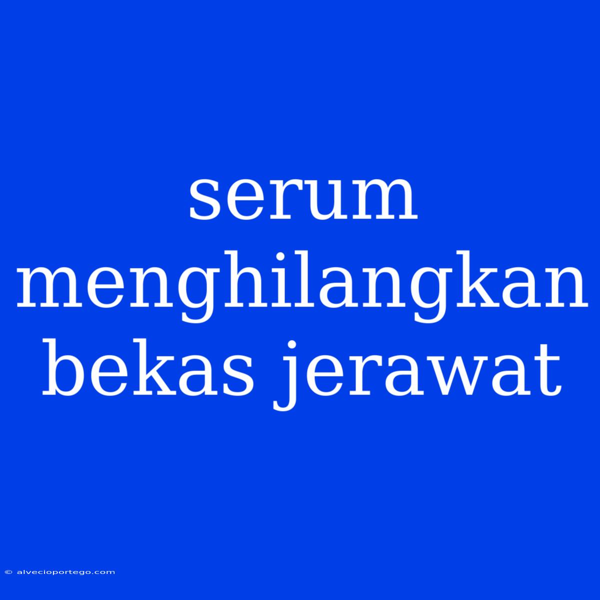 Serum Menghilangkan Bekas Jerawat