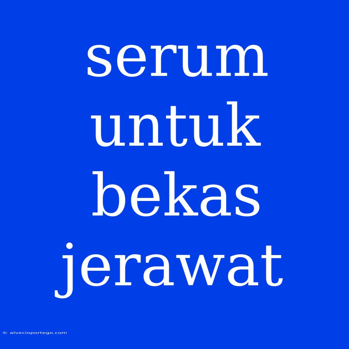 Serum Untuk Bekas Jerawat