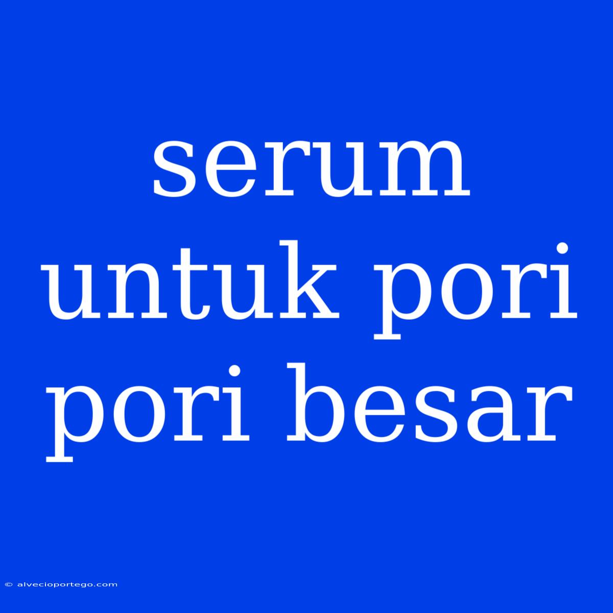 Serum Untuk Pori Pori Besar