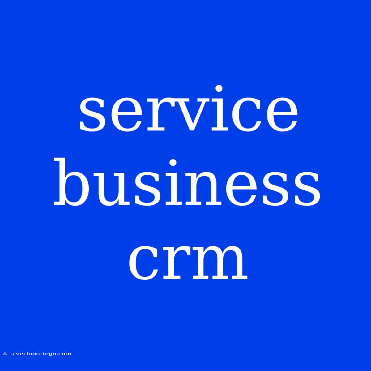 Service Business Crm