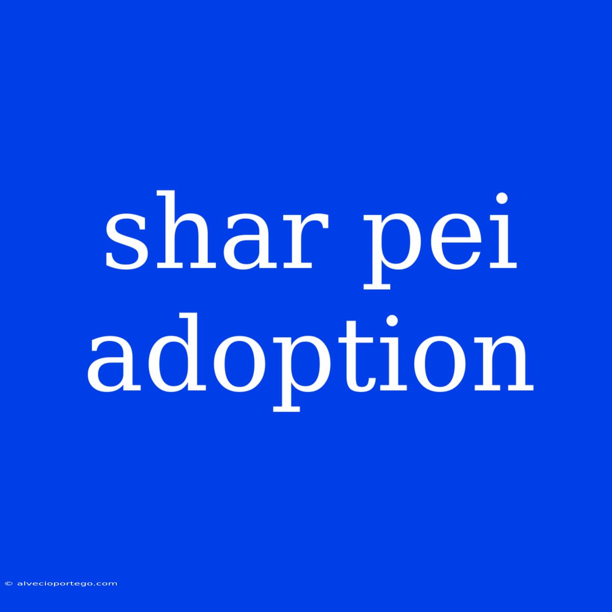 Shar Pei Adoption