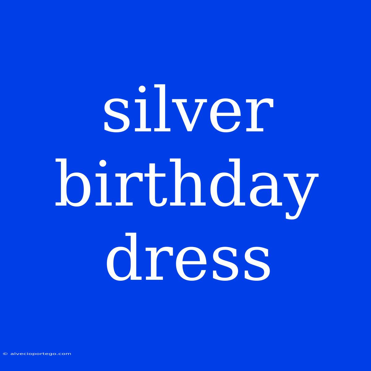 Silver Birthday Dress