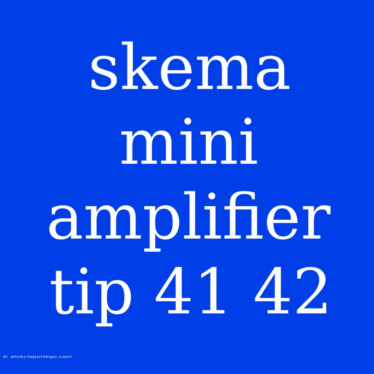 Skema Mini Amplifier Tip 41 42