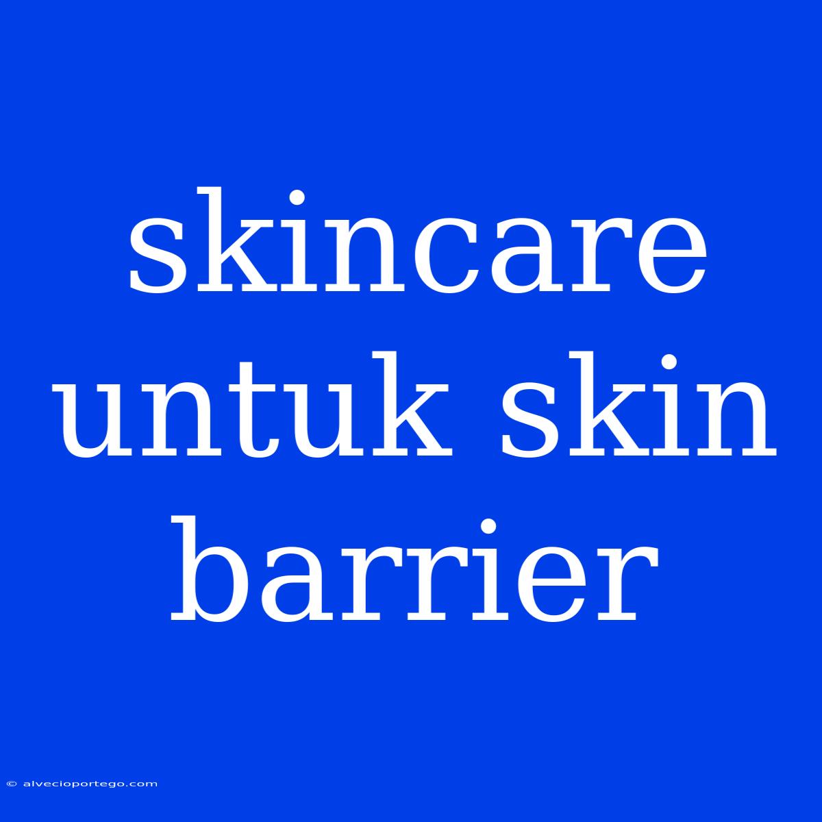 Skincare Untuk Skin Barrier